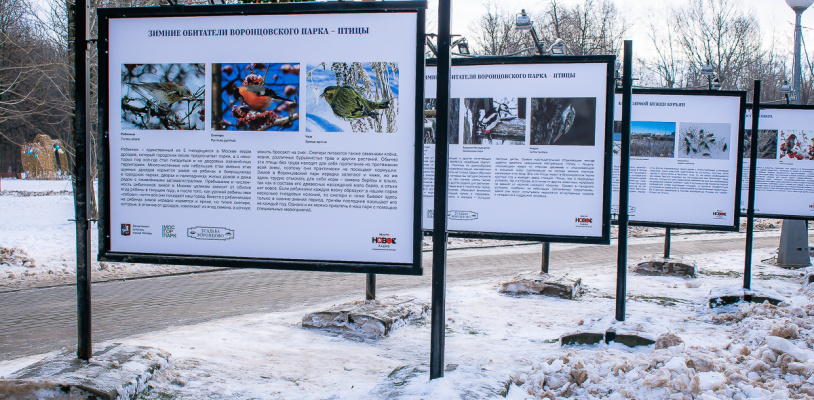 Тайны снежного мира